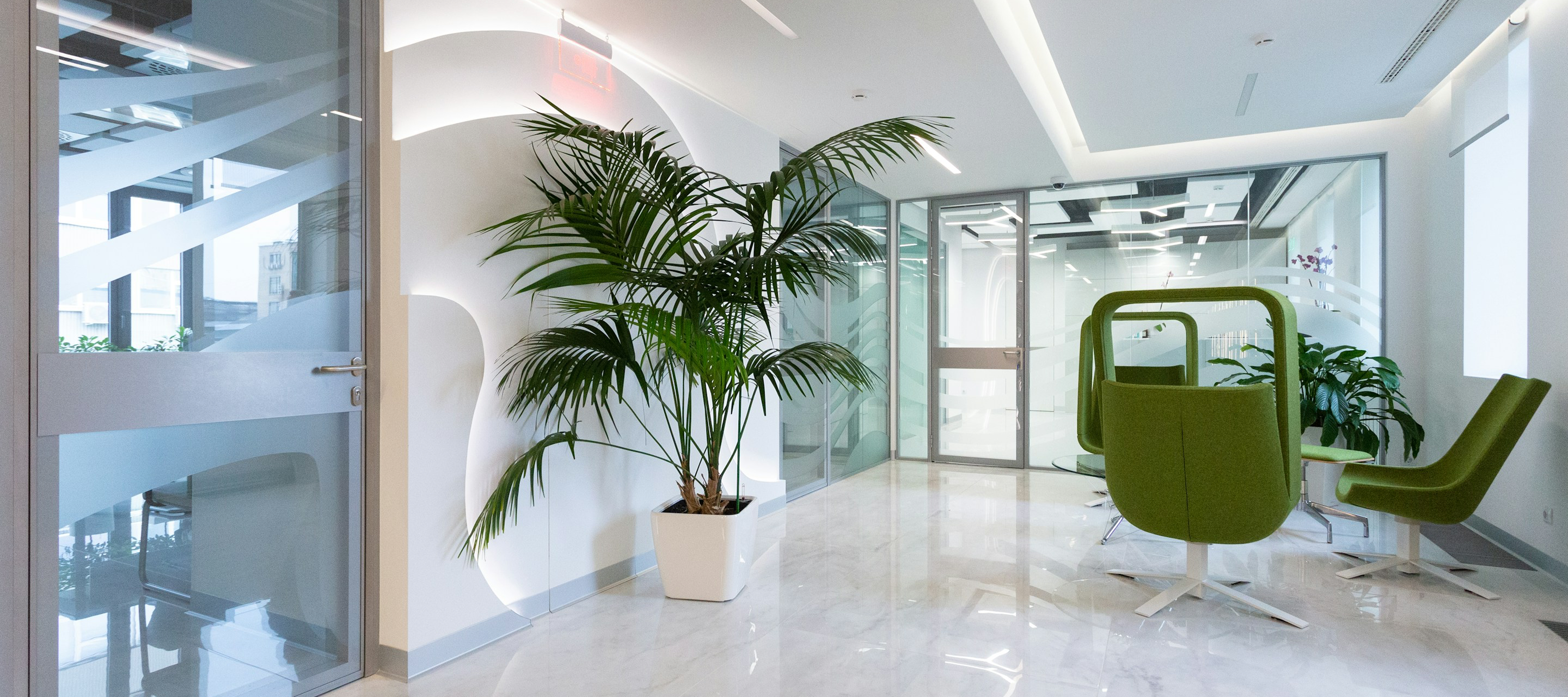 Chiropractic office interior